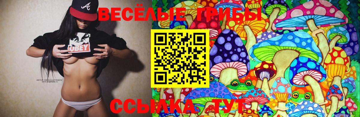 Псилоцибиновые грибы мицелий Благодарный